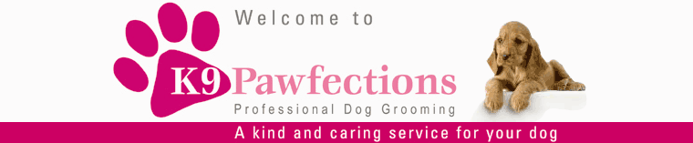 Welcome to K9 Pawfections - dog groomers in Ashford, Kent